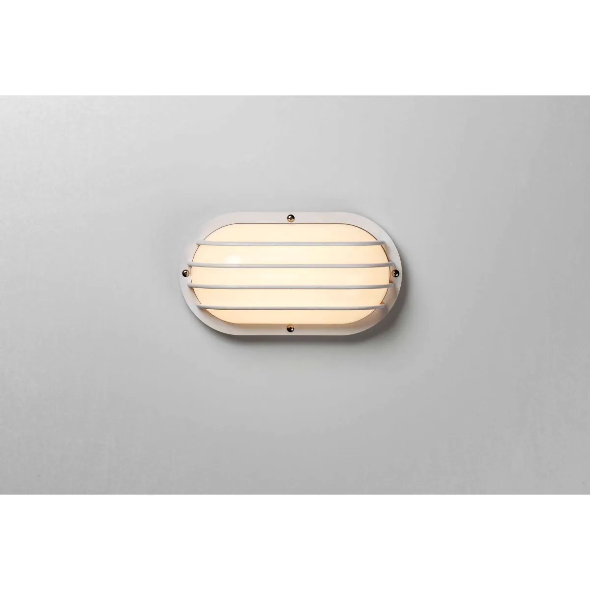 Bulwark 11 in. Outdoor Bulkhead Light White Finish