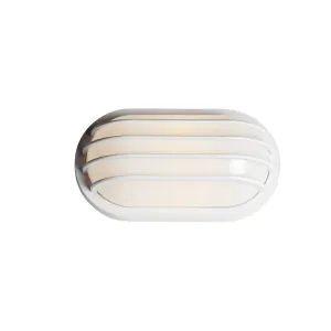 Bulwark 11 in. Outdoor Bulkhead Light White Finish